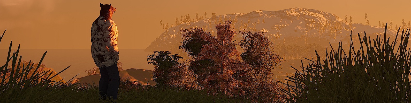 Как запустить Wakizashi?