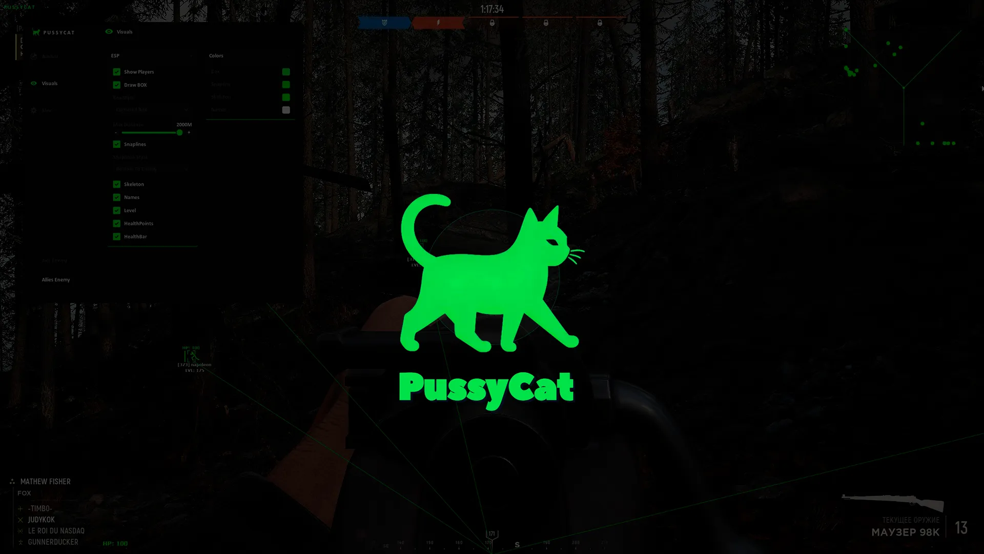 Приватный чит Pussycat для Hell Let Loose