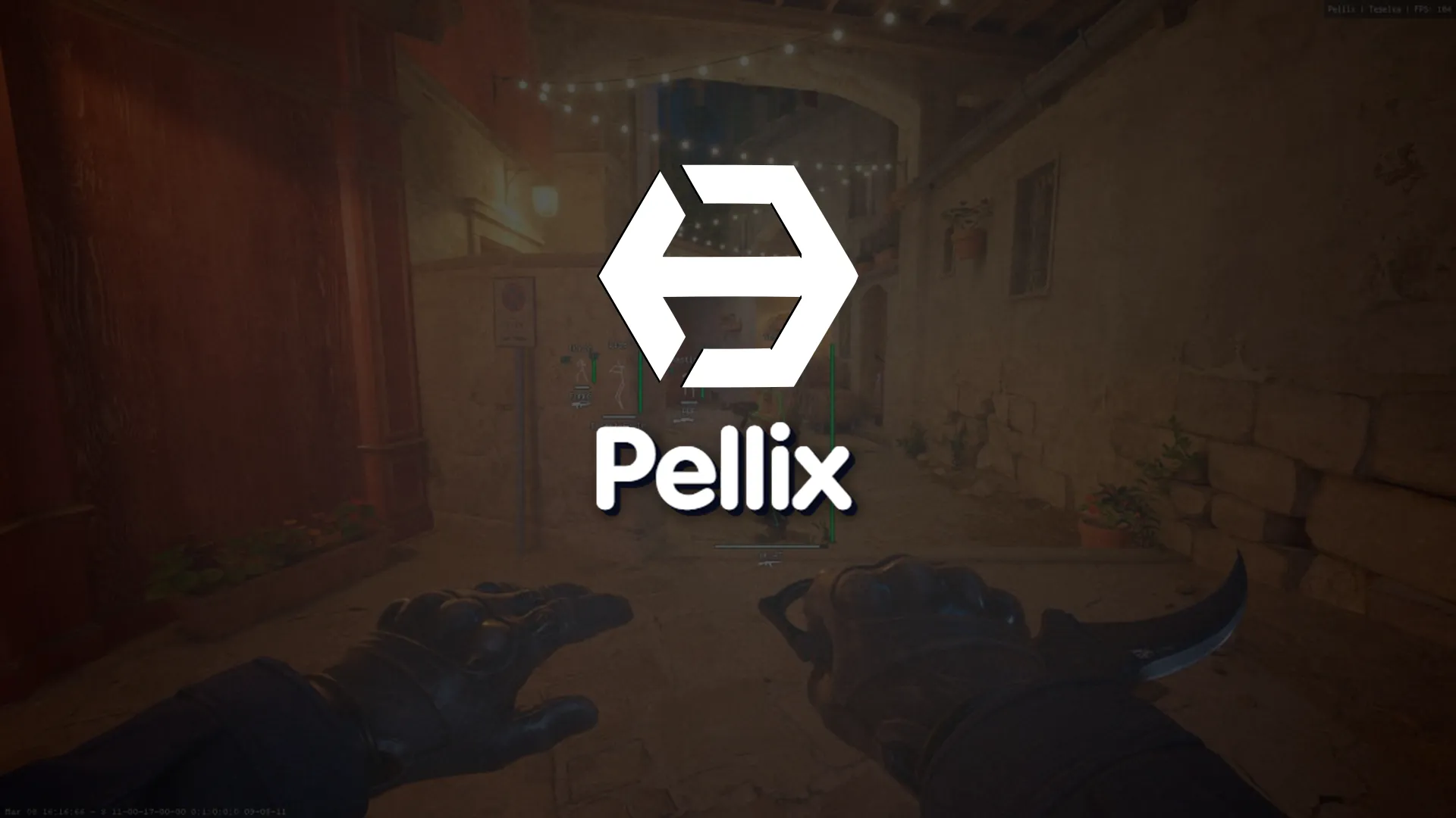 Приватный чит Pellix на CS2