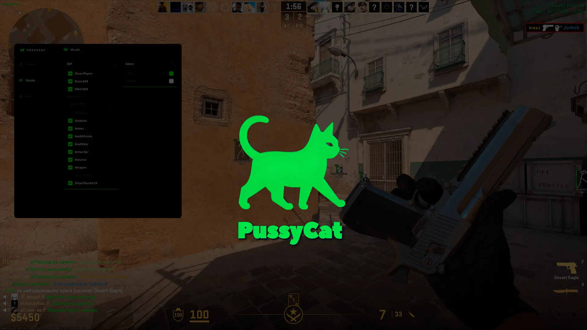 Приватный чит PussyCat на CS2