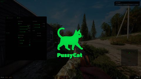 PussyCat