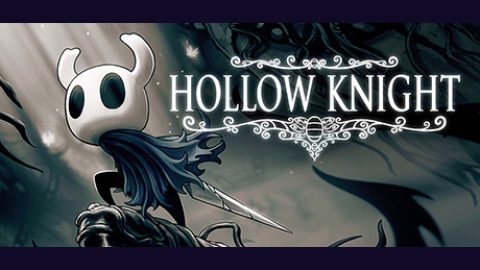 Hollow Knight — Steam