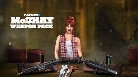 PAYDAY 2: McShay Weapon Pack